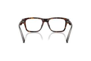 Widok z tyłu Dolce & Gabbana DG3446 (502)