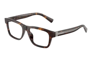 Widok z przodu Dolce & Gabbana DG3446 (502)