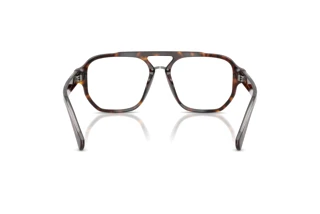 Widok z tyłu Dolce & Gabbana DG3447 (502)