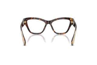 Widok z tyłu Dolce & Gabbana DG3448 (502)