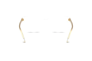 Widok z tyłu Dolce & Gabbana DG3451 (3133)