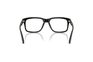 Widok z tyłu Dolce & Gabbana DG3453 (501)