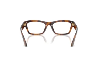 Widok z tyłu Dolce & Gabbana DG3454 (3497)