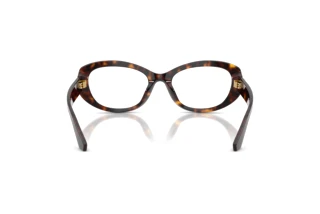 Widok z tyłu Dolce & Gabbana DG3455 (502)