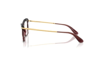 Widok z boku Dolce & Gabbana DG5025 (3045)