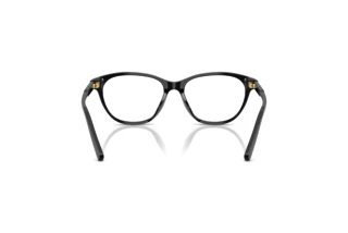 Widok z tyłu Dolce & Gabbana DX3002 (501)
