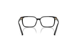 Widok z tyłu Dolce & Gabbana DX3003 (501)