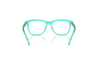 Widok z tyłu Dolce & Gabbana DX3356 (3322)