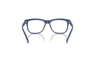 Widok z tyłu Dolce & Gabbana DX3356 (3402)