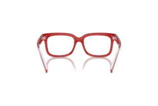Widok z tyłu Dolce & Gabbana DX5002 (3088)