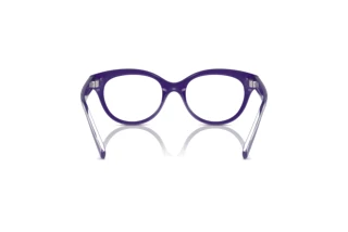 Widok z tyłu Dolce & Gabbana DX5003 (3335)