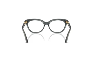 Widok z tyłu Dolce & Gabbana DX5005U (3241)