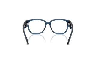 Widok z tyłu Dolce & Gabbana DX5006 (3009)