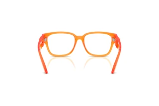 Widok z tyłu Dolce & Gabbana DX5006 (3388)