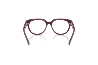 Widok z tyłu Dolce & Gabbana DX5007 (3360)
