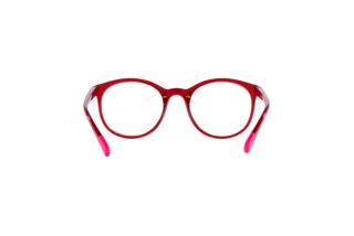 Widok z tyłu Dolce & Gabbana DX5095 (1551)