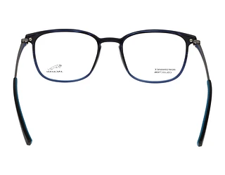 Widok z tyłu Jaguar 36831 (3100)