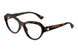 Widok z przodu Jimmy Choo JC1002HU (5002)
