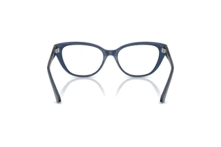 Widok z tyłu Jimmy Choo JC3011 (5035)