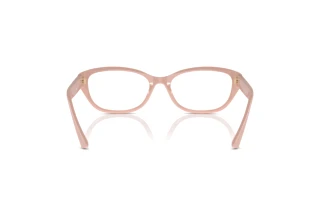 Widok z tyłu Jimmy Choo JC3015 (5014)