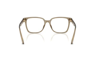 Widok z tyłu Jimmy Choo JC3038D (5051)