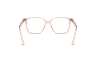 Widok z tyłu Jimmy Choo JC3038D (5052)