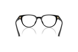 Widok z tyłu Jimmy Choo JC3051D (5000)