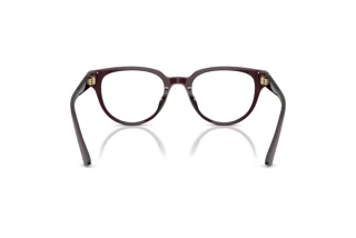 Widok z tyłu Jimmy Choo JC3051D (5086)
