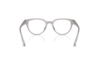 Widok z tyłu Jimmy Choo JC3051D (5096)