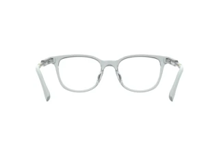 Widok z tyłu Lacoste L3669 (970)