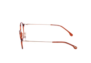 Widok z boku Lozza VL4229 (01F3)