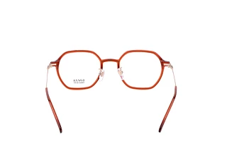 Widok z tyłu Lozza VL4229 (01F3)