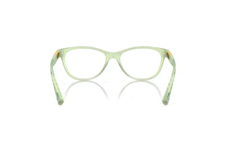 Widok z tyłu Oakley PLUNGELINE (OX8146 - 814610)
