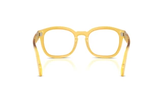 Widok z tyłu Persol PO0082V (204)