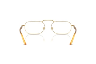 Widok z tyłu Persol PO1020V (1129)