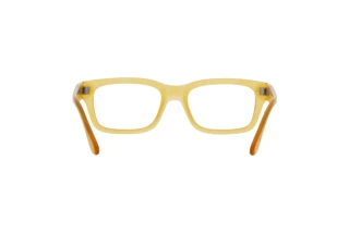 Widok z tyłu Persol PO3301V (204)
