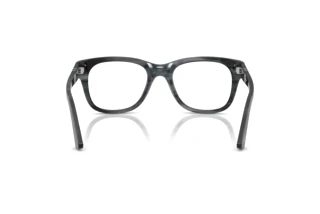 Widok z tyłu Persol PO3372V (1224)