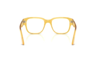 Widok z tyłu Persol PO3374V (204)