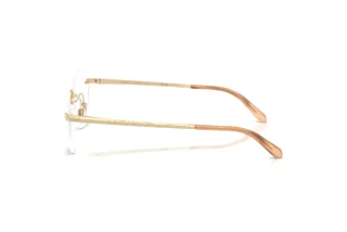 Widok z boku Ralph Lauren RL5134 (9116)