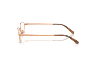 Widok z boku Ralph Lauren RL5140 (9329)