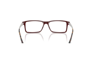 Widok z tyłu Ralph Lauren RL6128 (6311)