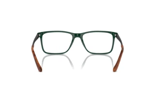 Widok z tyłu Ralph Lauren RL6133 (6140)