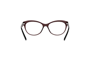 Widok z tyłu Ralph Lauren RL6216U (5855)