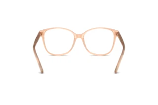 Widok z tyłu Ralph Lauren RL6222 (6110)