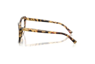 Widok z boku Ralph Lauren RL6232U (5004)