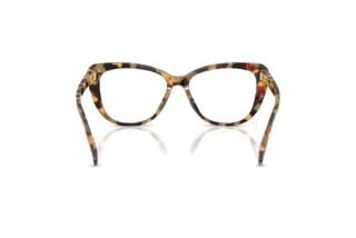 Widok z tyłu Ralph Lauren RL6232U (5004)