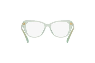 Widok z tyłu Ralph Lauren RL6232U (6082)