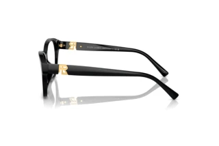 Widok z boku Ralph Lauren RL6236U (5001)