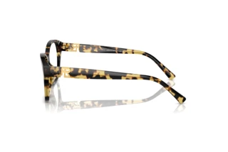 Widok z boku Ralph Lauren RL6236U (5004)