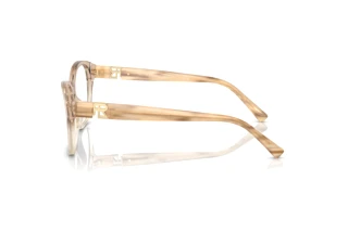 Widok z boku Ralph Lauren RL6236U (6111)